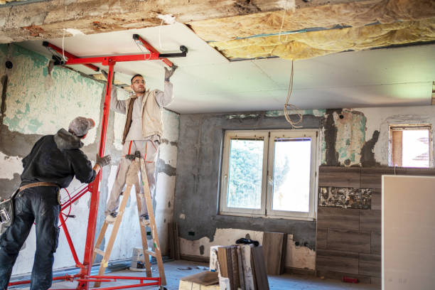 Best Insulation Maintenance and Repair in Hilltop, MN
