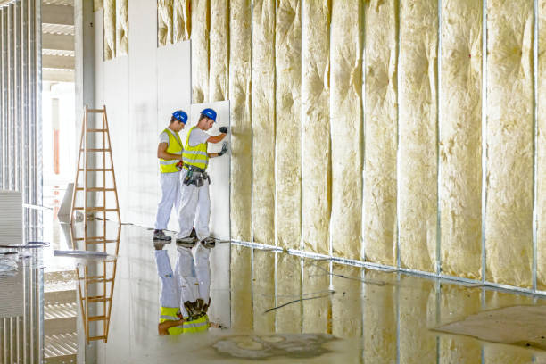 Best Residential Insulation in Hilltop, MN